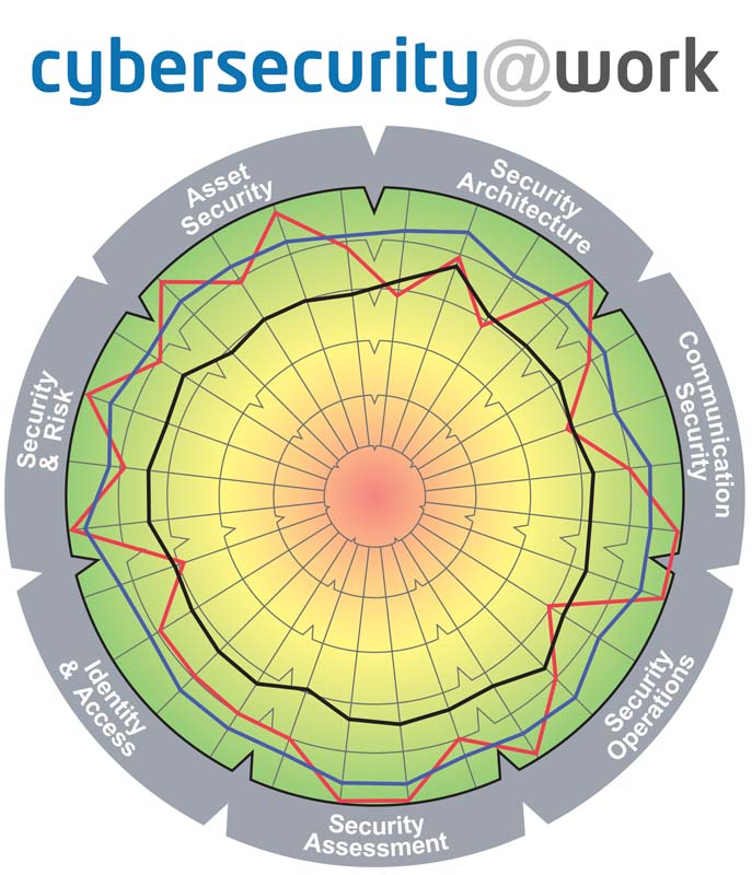 This diagnostic assesses the organization